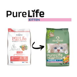 Purelife Cat Kitten