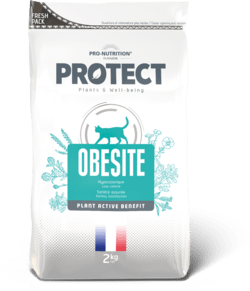Protect - Cat Obesite - 2 kg