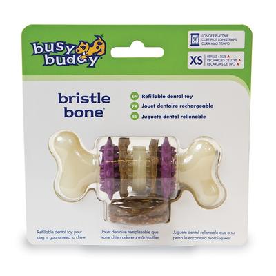 Busy Buddy bristle bone