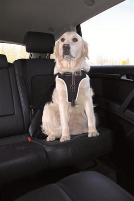 Bilsele, Dog Protect sikkerhedssele